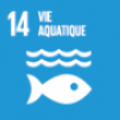 14. Vie aquatique